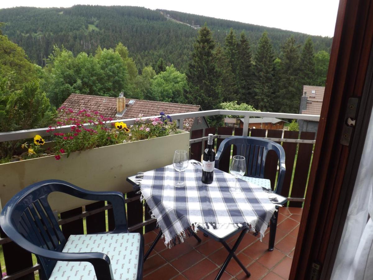 고슬라르 Residenz Bocksberg-Blick & St. Florian 빌라 외부 사진